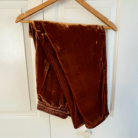 Madewell Gold Velvet Track Pants, size M - Picture 6 of 15